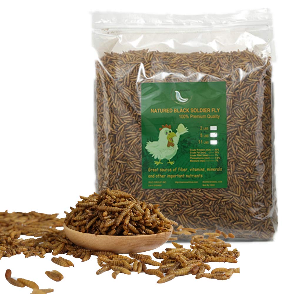 20LBS Black Soldier Fly Larvae Treats for Birds Chickens N265