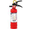 2.5 lb Dry Chemical Fire Extinguisher R2455