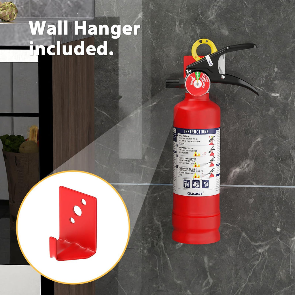 2.5 lb Dry Chemical Fire Extinguisher R2455