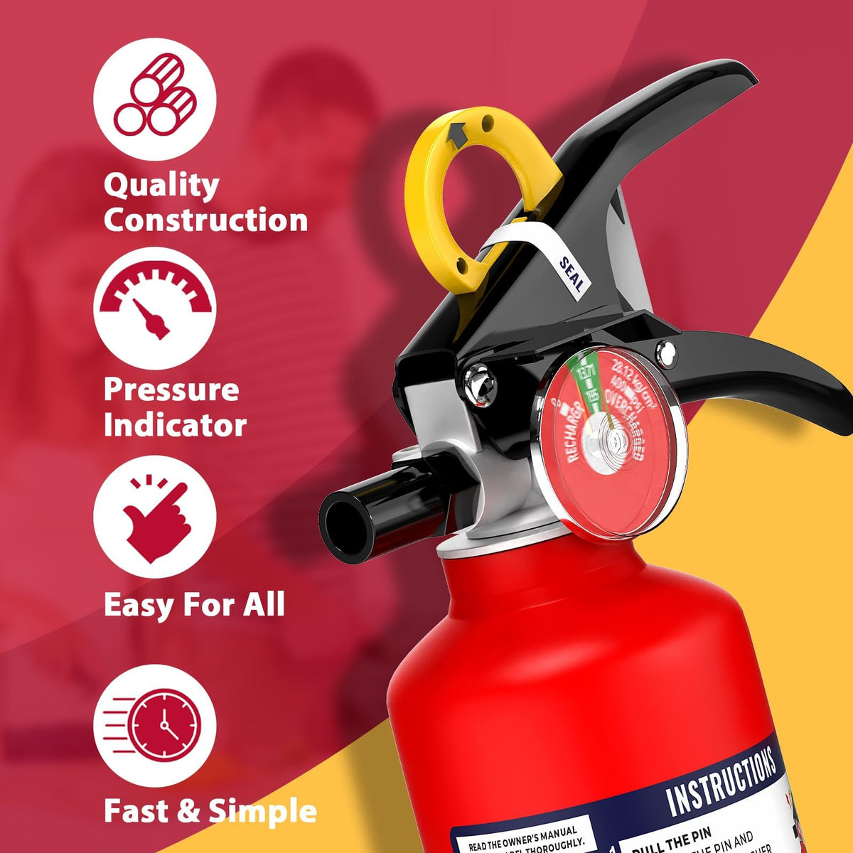 2.5 lb Dry Chemical Fire Extinguisher R2455