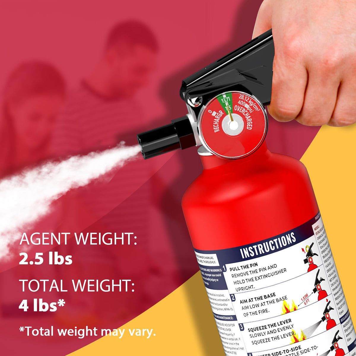 2.5 lb Dry Chemical Fire Extinguisher R2455