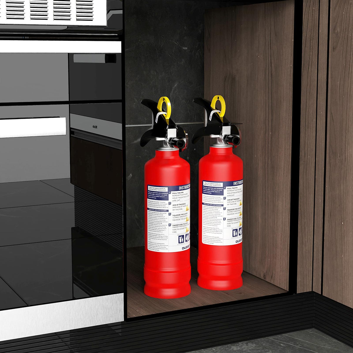 2.5 lb Dry Chemical Fire Extinguisher R2455