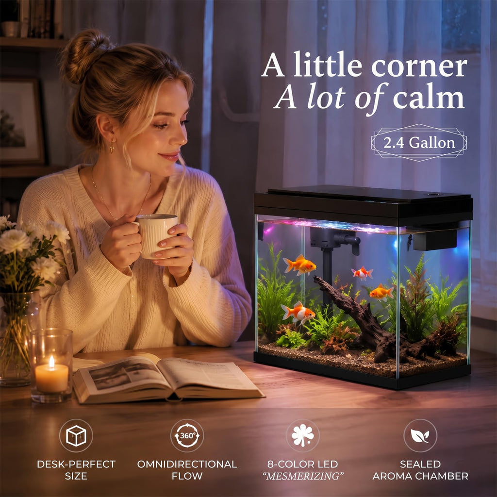 2.4 Gallon Desktop Betta Fish Tank Starter Kit Y47599