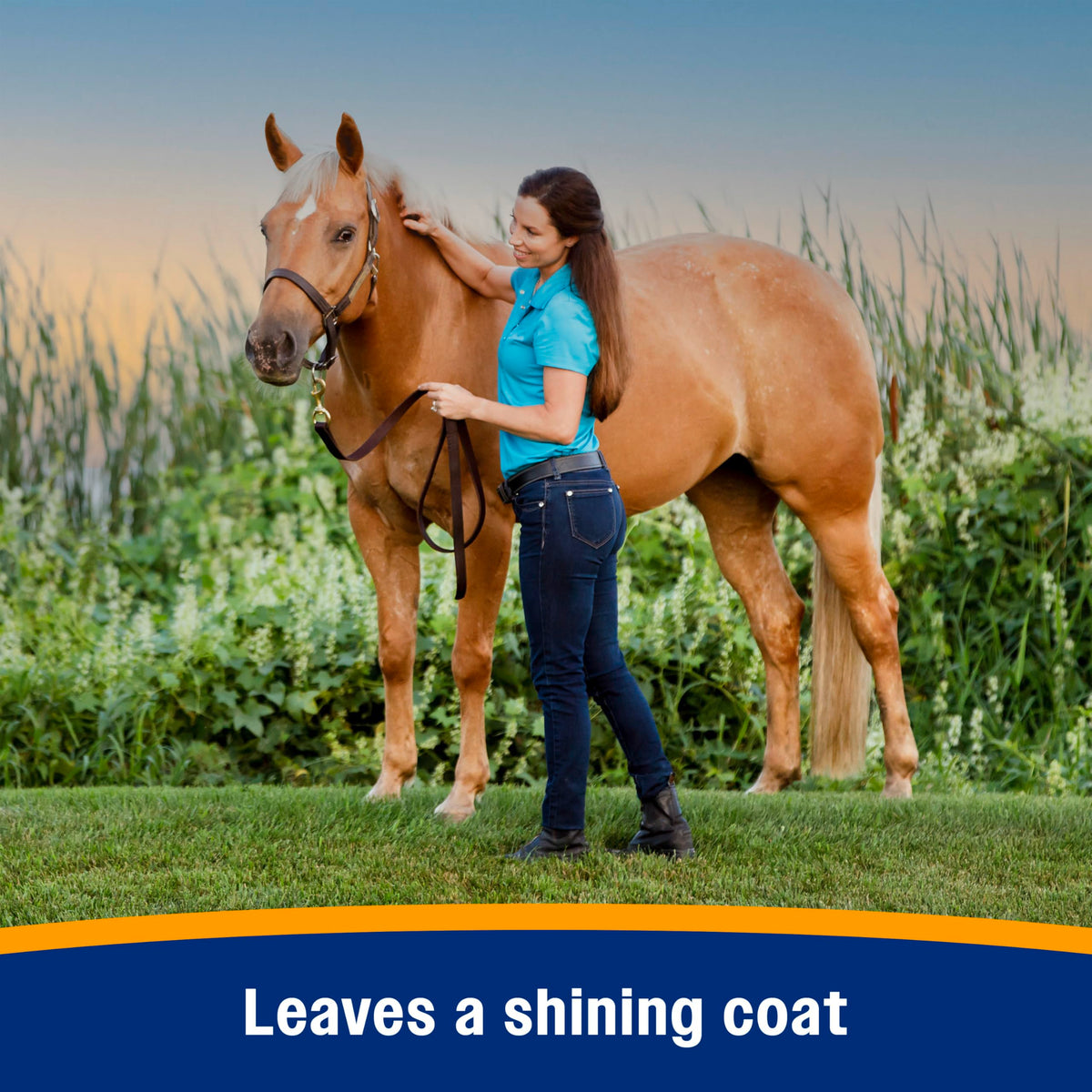 128 oz Horse Fly Spray and Coat Conditioner Z57392