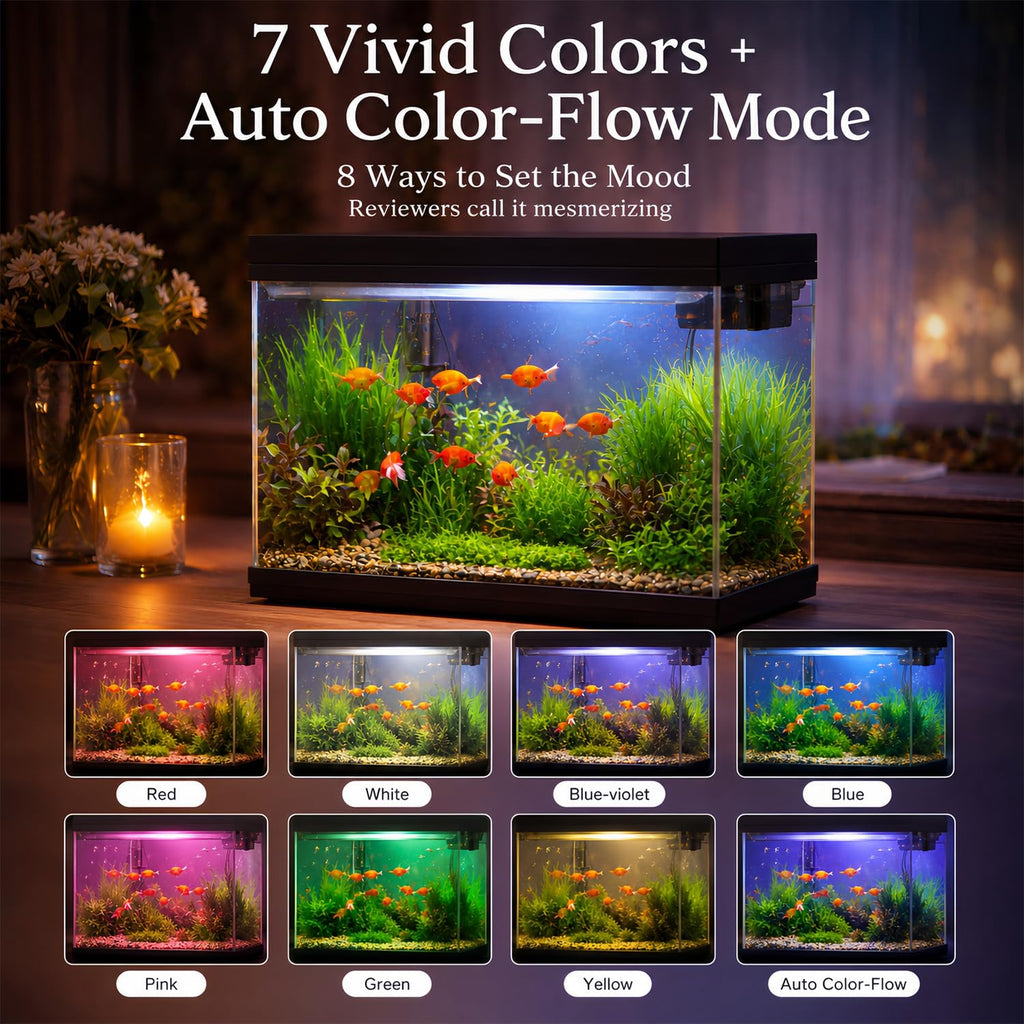 2.4 Gallon Desktop Betta Fish Tank Starter Kit Y47599