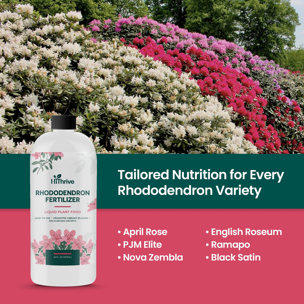 16oz Rhododendron Plant Food F270