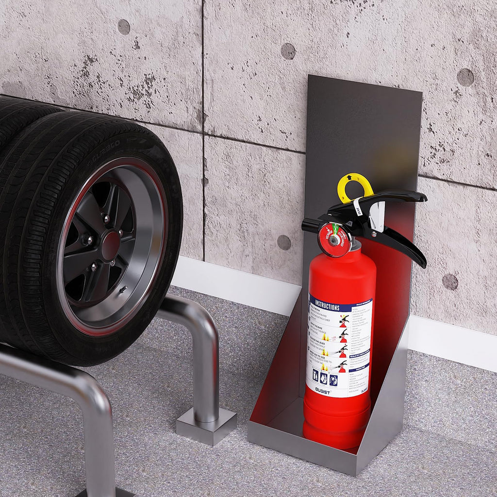 2.5 lb Dry Chemical Fire Extinguisher R2455